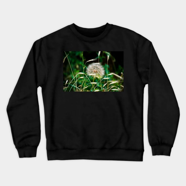 Amongst the Grass Crewneck Sweatshirt by zigzagr63